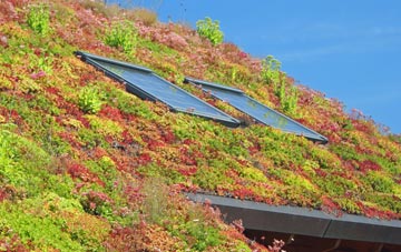 Matlaske living roof systems